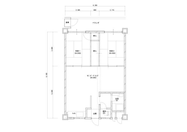 Before Image